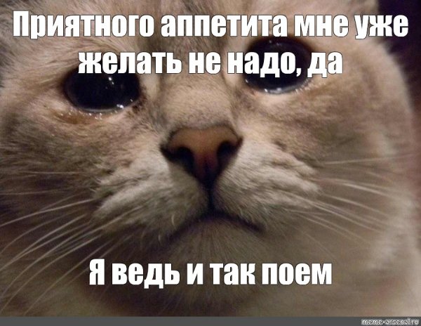 Кот желает приятного аппетита