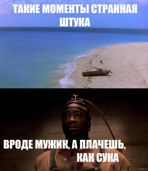 Момент мемы