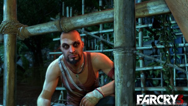 Far Cry 3 Ваас безумие