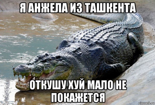 Анекдоты про крокодилов