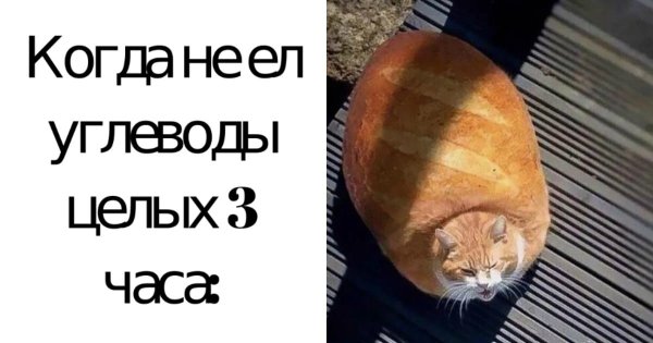 Мемы про еду