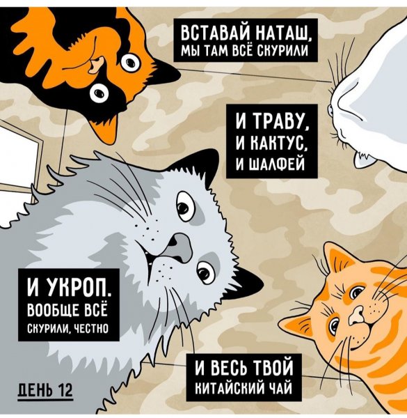 Мем Наташа и коты
