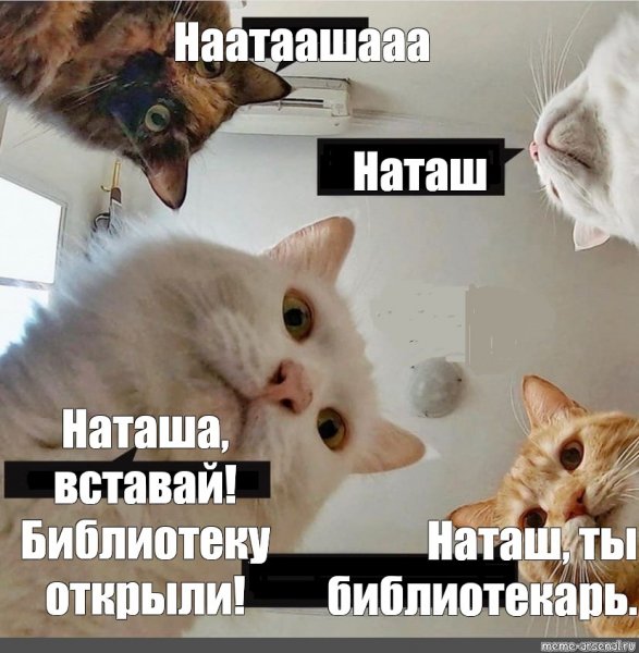 Наташа Мем