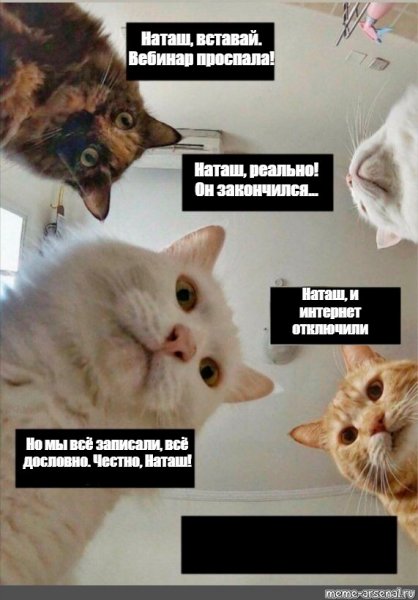 Наташа Мем