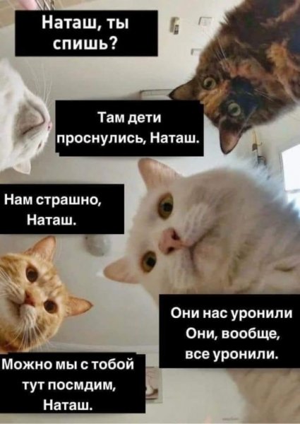 Наташа вставай