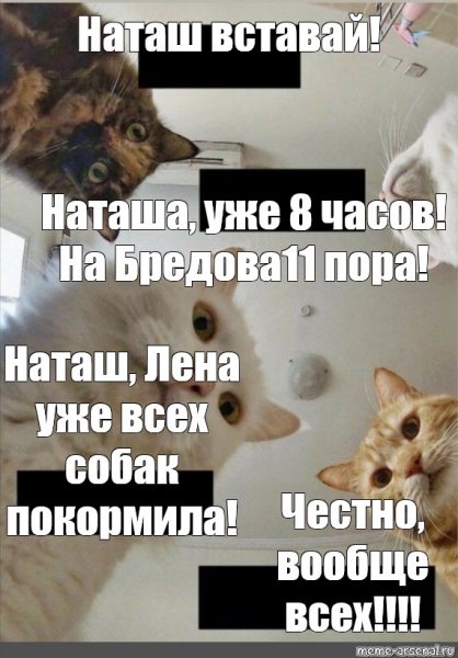 Наташа вставай