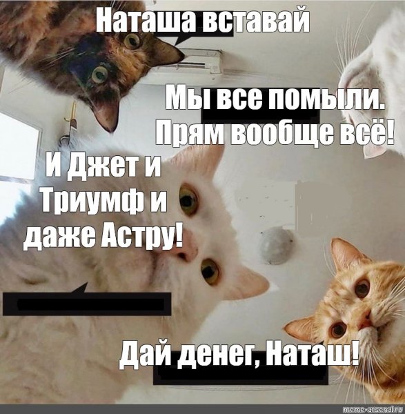 Наташа вставай