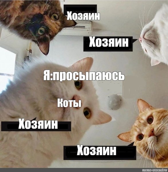 Наташа мы все уронили