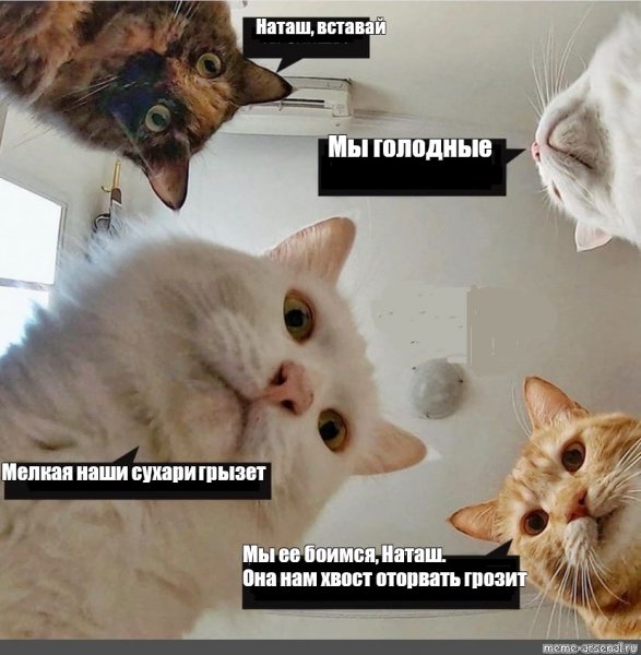 Мем Наташ мы там все уронили