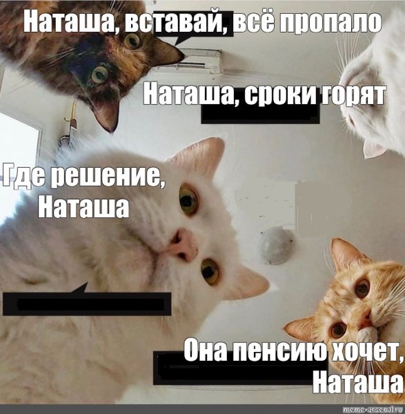 Мем Наташ мы там все уронили