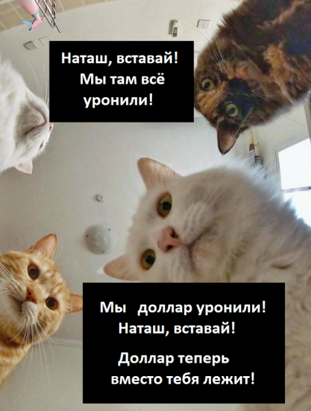 Наташа с днём рождения мемы
