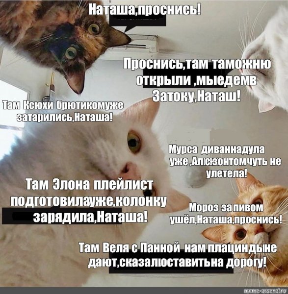 Мемы Наташ ты спишь