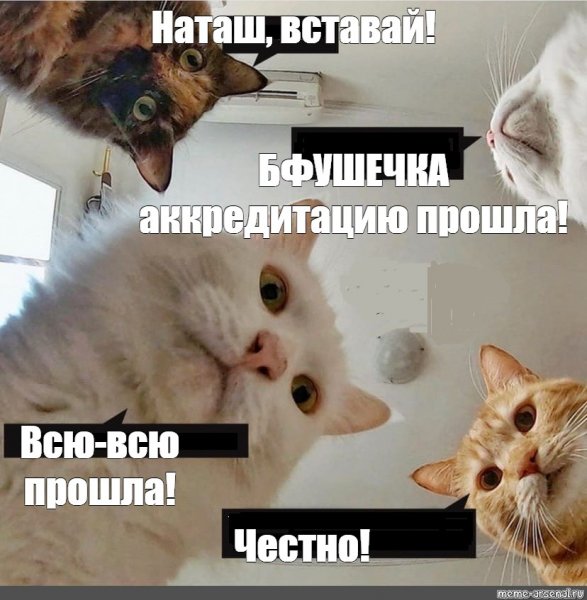 С днём рождения Наташа коты мемы