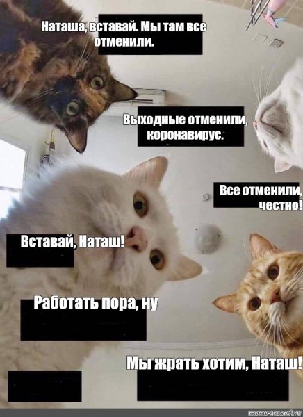 Оля вставай мы все уронили