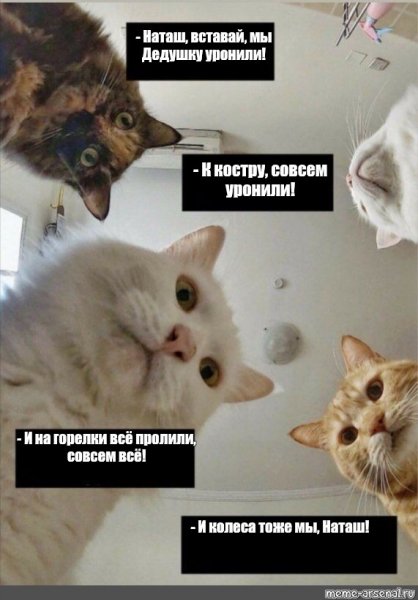 Наташа Мем