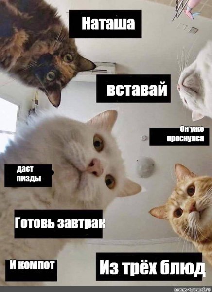 Наташ ты спишь Мем