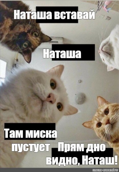Мемы Наташа мы все уронили