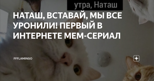 Наташа вставай мы все уронили