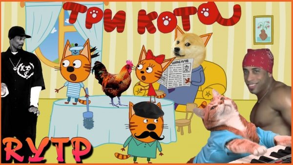 Три кота пуп