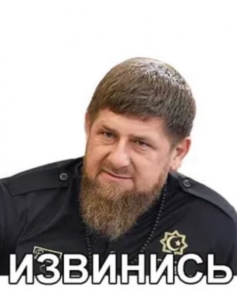 Рамзан Кадыров извинись