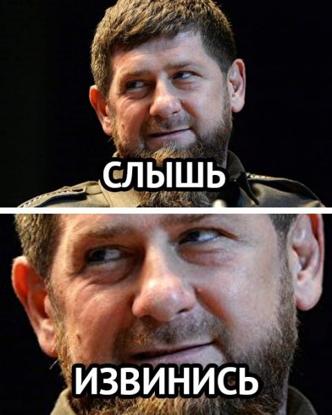 Рамзан Кадыров извинись