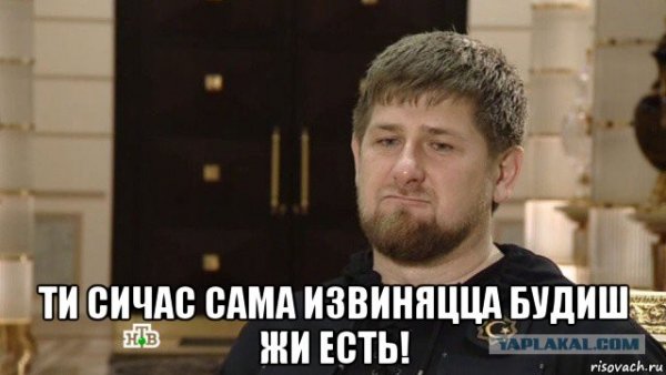Рамзан Кадыров Мем