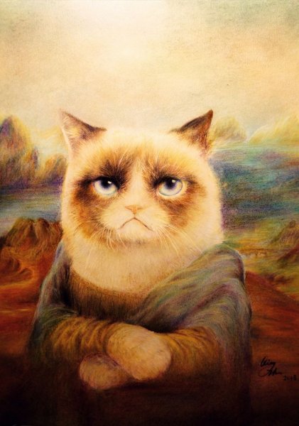Мем с котами и рыбой красивое