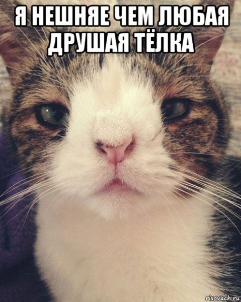 Новые мемы про Рыбов