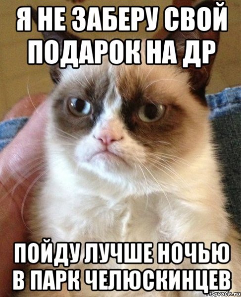 Я устал Мем кот