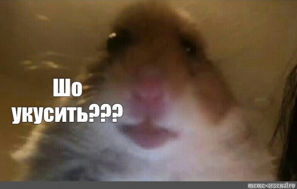 Хомячок Мем