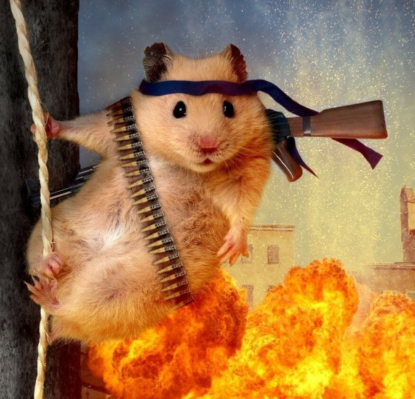 Опасный хомяк