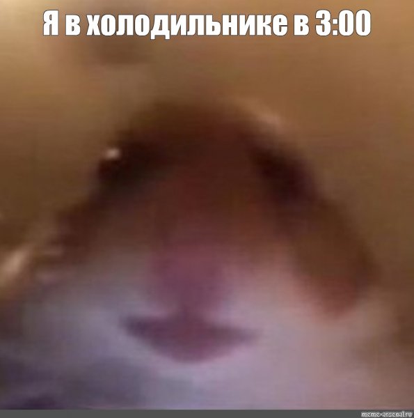 Хомяк Мем