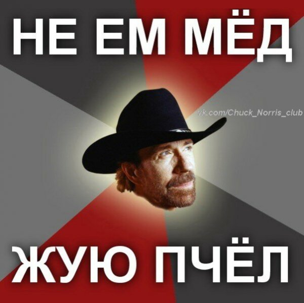 Чак Норрис мемы
