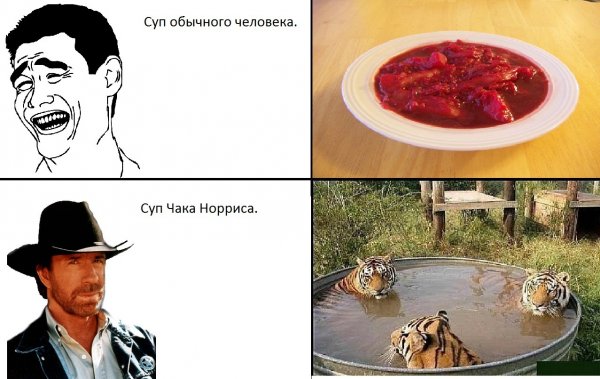 Приколы про Чака Норриса мемы