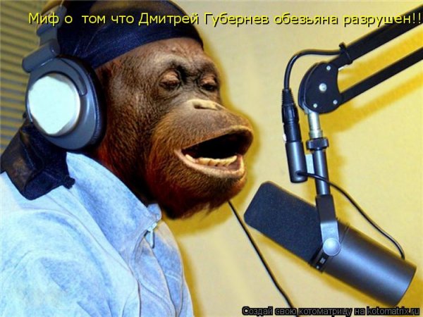 Обезьяна с плеером