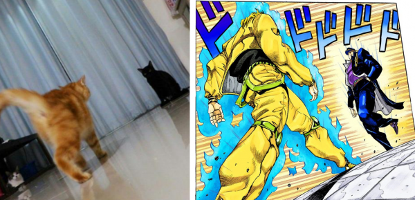 Дио и Джотаро идут друг на друга