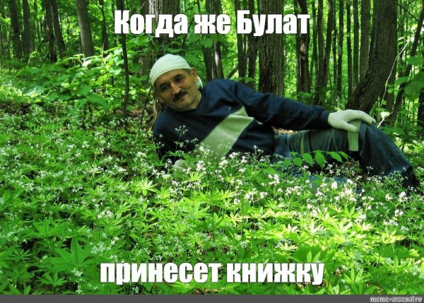 Приколы про Булата