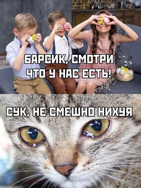 Смешной Мем