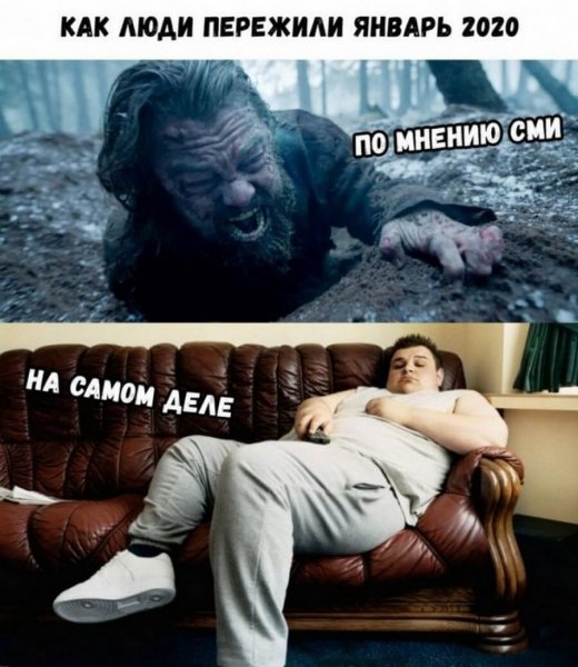 Новые мемы