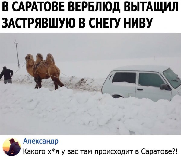 Артас ПАПИЧ