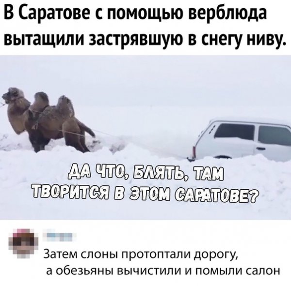 Покинуть Саратов Мем