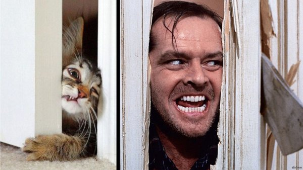 Джек Николсон сияние