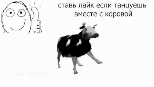 Танцующая польская корова