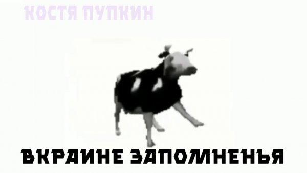 Польская корова