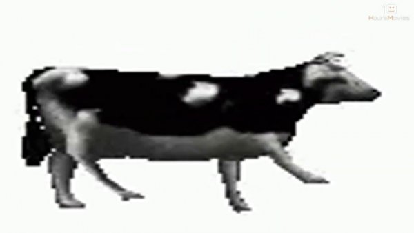 Танцующая корова