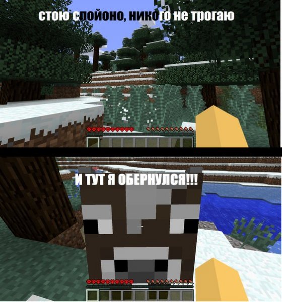 Мемы про майнкрафт