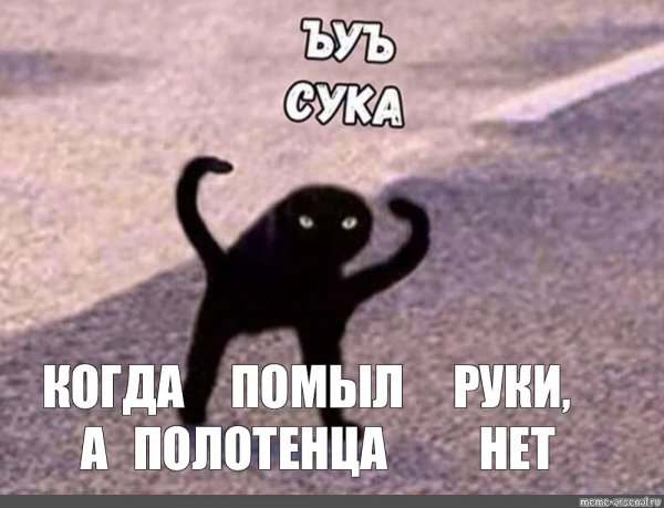 Мем чёрный кот с руками