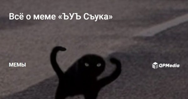 Кот Мем ЪУЪ