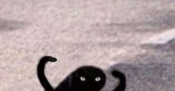 Черный кот ЪУЪ