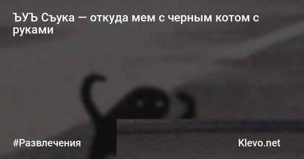 Мемы с черным котом